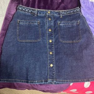 Francescas Denim Skirt